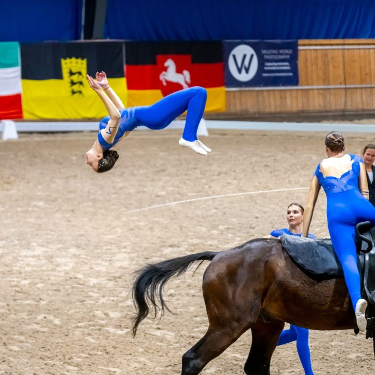 Daniel Ellwanger / Vaulting World