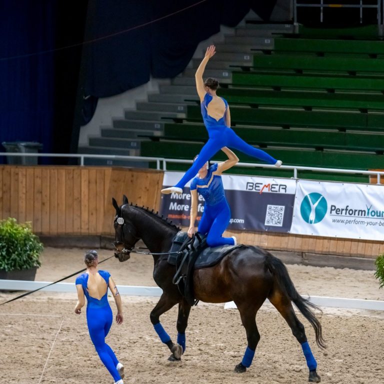 Daniel Ellwanger / Vaulting World
